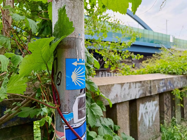 Stadtpilgern zum Tag des Wanderns 2025